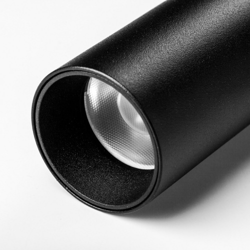 Светильник на штанге Lightstar DUE 207137 в Нижнем Новгороде фото 2