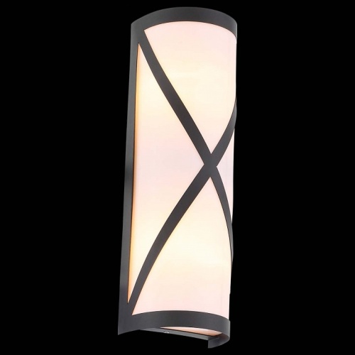 Накладной светильник ST-Luce Agio SL076.411.01 в Малой Вишере фото 6