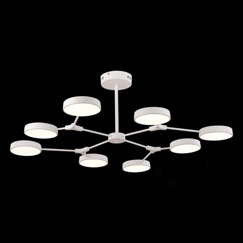 Люстра на штанге EVOLUCE Monta SLE6003-502-08 в Нижнем Новгороде фото 3