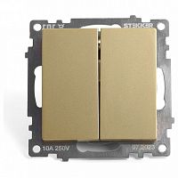 Переключатель двухклавишный без рамки Stekker Катрин 49220 в Нижнем Новгороде