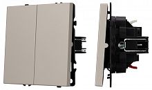 Выключатель двухклавишный без рамки Arlight SWT-NOBE 059419 в Нижнем Новгороде