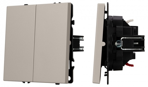 Выключатель двухклавишный без рамки Arlight SWT-NOBE 059419 в Нижнем Новгороде