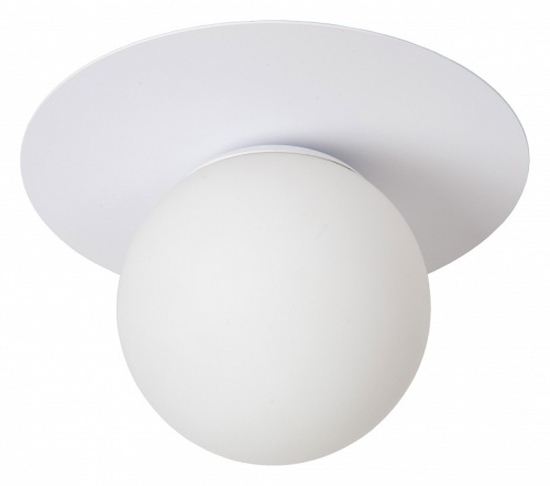 Накладной светильник Lucide Tricia 79187/01/31 в Нижнем Новгороде фото 2