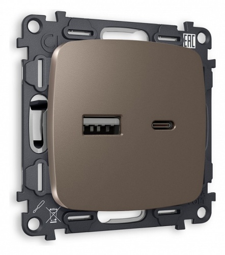 Розетка 2хUSB type A и C без рамки Ambrella Volt OMEGA MO641010 в Нижнем Новгороде