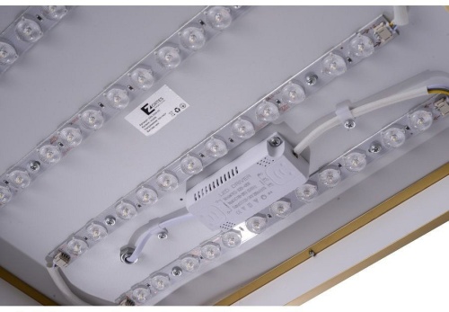 Накладной светильник Zortes Monna ZRS.1209.03 в Нижнем Новгороде фото 6