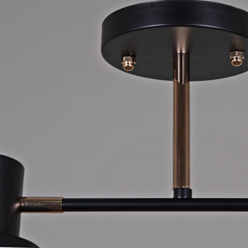 Светильник на штанге 06074-3.3-02 BK+FG в Нижнем Новгороде фото 2