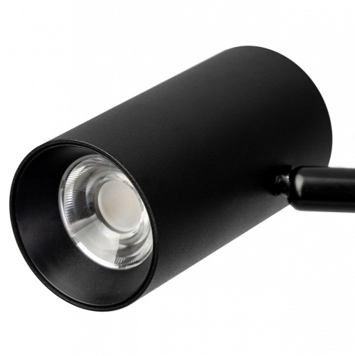 Торшер Citilux Twin CL809011N в Нижнем Новгороде фото 4