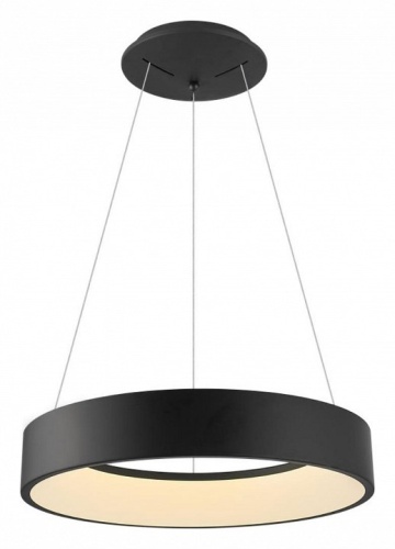 Подвесной светильник Aployt Michell APL.052.13.60 в Нижнем Новгороде фото 2