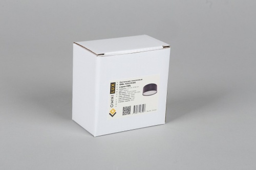 Накладной светильник Omnilux Abano OML-103319-06 в Нижнем Новгороде фото 4