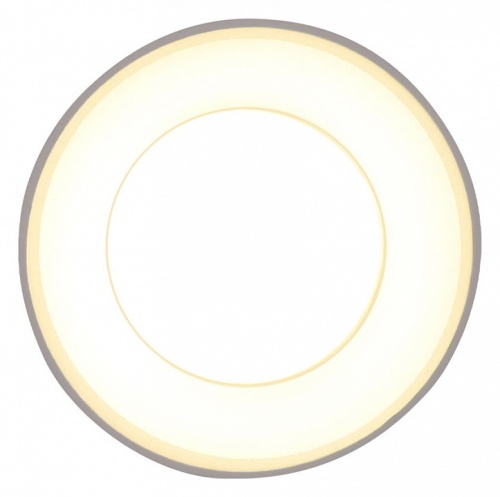 Накладной светильник Ambrella Light TN TN3411 в Нижнем Новгороде фото 4