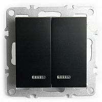 Выключатель двухклавишный с подсветкой без рамки Stekker Эрна 49147 в Нижнем Новгороде