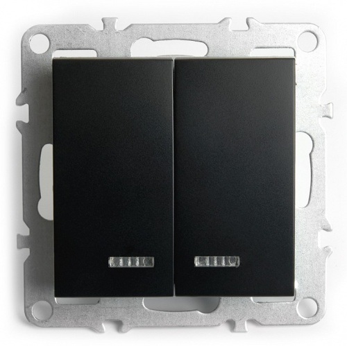 Выключатель двухклавишный с подсветкой без рамки Stekker Эрна 49147 в Нижнем Новгороде