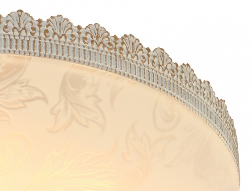 Накладной светильник Arte Lamp Crown A4541PL-3WG в Нижнем Новгороде фото 3