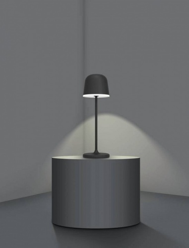 Настольная лампа декоративная Eglo ПРОМО Mannera 900457 в Арзамасе фото 6