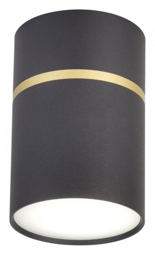 Накладной светильник Favourite Dunia 3068-1C в Нижнем Новгороде фото 4