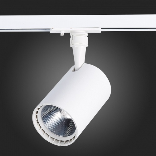 Светильник на штанге ST-Luce Cami ST351.546.20.36 в Нижнем Новгороде фото 6