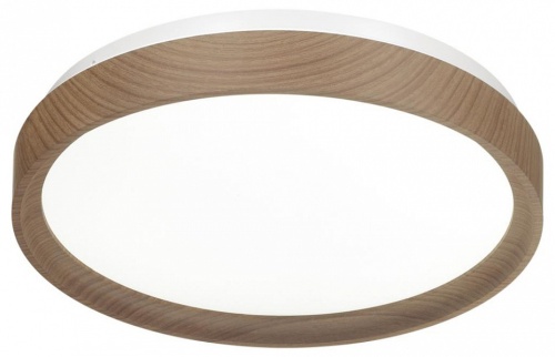 Накладной светильник Sonex Woodi 7603/CLN в Нижнем Новгороде фото 6