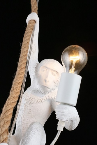 Подвесной светильник Aployt Magali APL.309.06.01 в Нижнем Новгороде фото 9