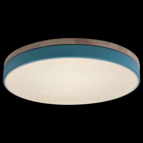 Накладной светильник Loft it Axel 10001/36 Blue в Нижнем Новгороде фото 4