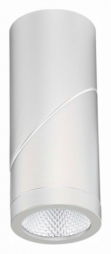 Светильник на штанге ST-Luce ST650 ST650.532.10 в Нижнем Новгороде фото 6