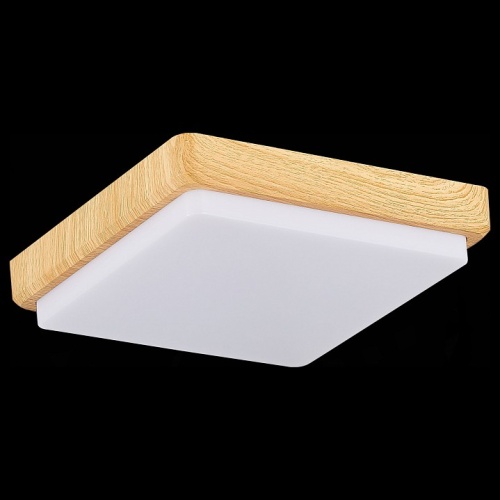 Накладной светильник EVOLUCE Taddio SLE200202-01 в Нижнем Новгороде фото 6