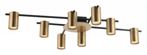 Потолочная люстра Favourite Topper 2827-8P в Нижнем Новгороде фото 4