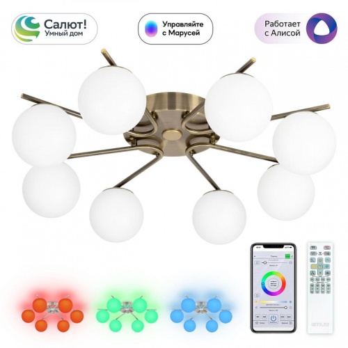 Потолочная люстра Citilux Адам Смарт CL228A183 в Нижнем Новгороде фото 13