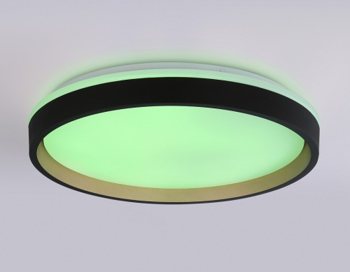 Накладной светильник Ambrella Light FZ FZ610 в Нижнем Новгороде фото 13