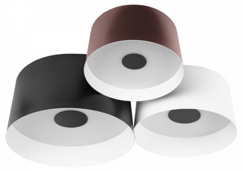 Потолочная люстра Loft it Duo 10360/3 в Нижнем Новгороде