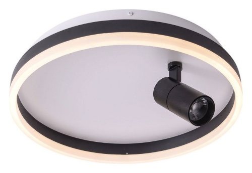 Накладной светильник Zortes Raizy ZRS.1888.03 в Нижнем Новгороде фото 2