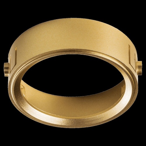 Кольцо декоративное Lightstar Domino 214003 в Нижнем Новгороде фото 4