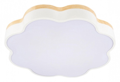 Накладной светильник Loft it Axel 10225/36 White в Нижнем Новгороде