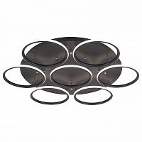 Потолочная люстра Arte Lamp 2500 A2500PL-7BK в Нижнем Новгороде