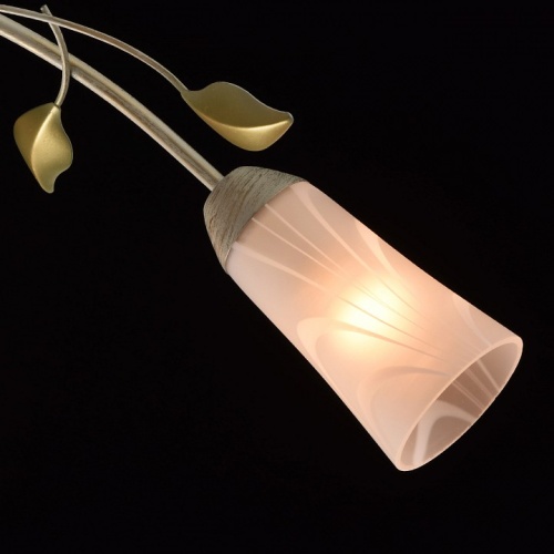 Потолочная люстра MW-Light Восторг 16 242015306 в Нижнем Новгороде фото 5