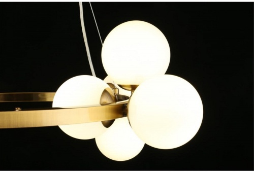 Подвесной светильник Aployt Letizia APL.314.03.11 в Нижнем Новгороде фото 12