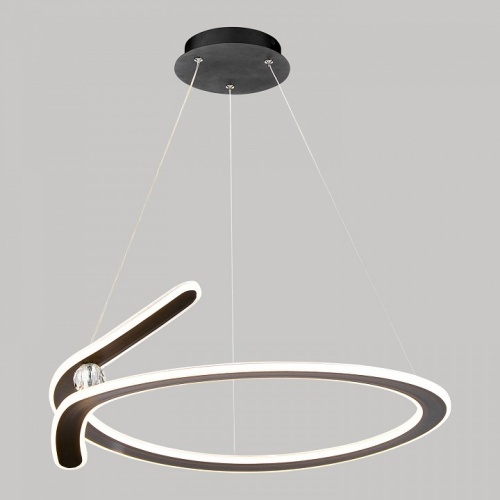 Подвесной светильник Lussole Hale LSP-7381 в Нижнем Новгороде фото 6