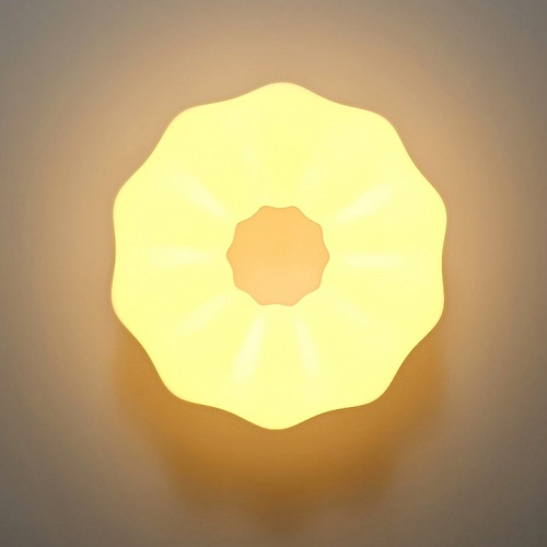 Накладной светильник Zortes Soft ZRS.1118.2 в Нижнем Новгороде фото 7