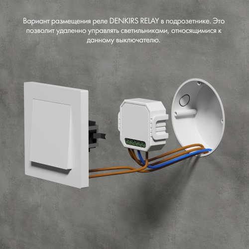 RL1003-DM Одноканальное Wi-Fi реле-диммер 1 x 150 Вт в Пущино фото 4