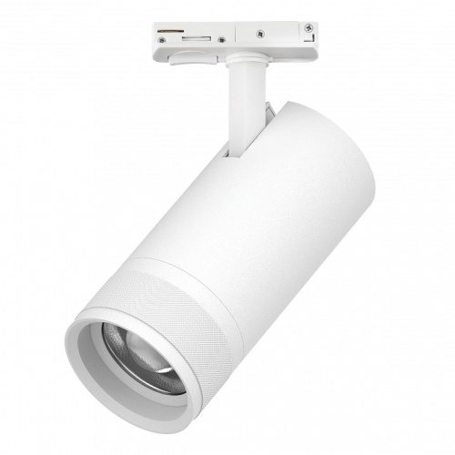 Светильник на штанге Lightstar Canno Pro C4306SS в Нижнем Новгороде фото 3