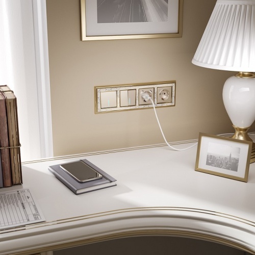 Накладка для розетки с заземлением и 2хUSB Werkel шампань W1179511 в Нижнем Новгороде фото 3