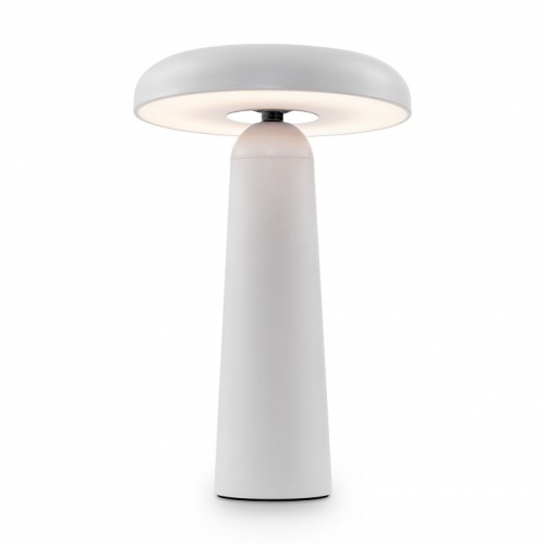 Настольная лампа декоративная Freya Mushroom FR6109TL-L4W в Нижнем Новгороде фото 3