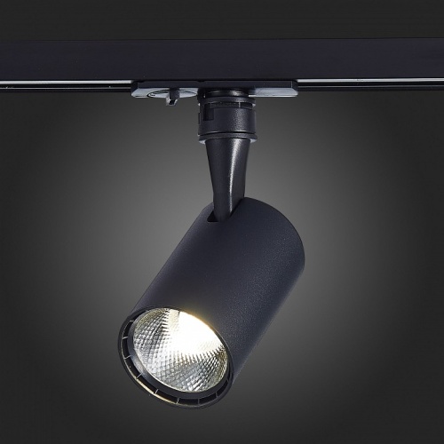 Светильник на штанге ST-Luce Cami ST351.436.10.36 в Нижнем Новгороде фото 4