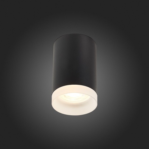 Накладной светильник ST-Luce ST100 ST100.402.01 в Нижнем Новгороде фото 2