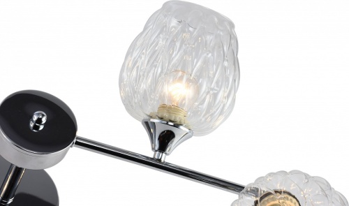 Люстра на штанге Rivoli Arlene Б0055389 в Нижнем Новгороде фото 7