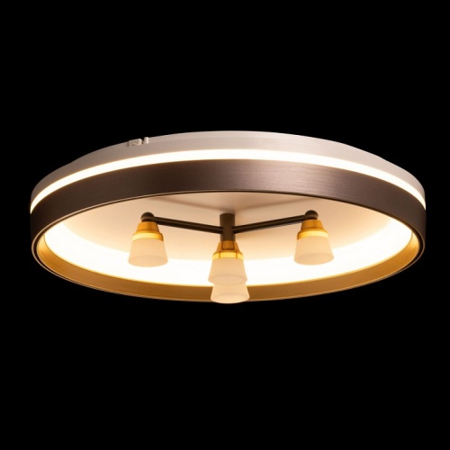 Потолочная люстра De City Семья 66 660014701 в Нижнем Новгороде фото 6