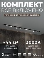 Комплект трековый Hesby Lighting Skylite №14 HSBL_kompl_S014_NI3B3K в Нижнем Новгороде