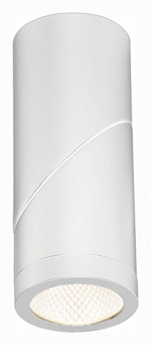 Светильник на штанге ST-Luce ST650 ST650.532.10 в Нижнем Новгороде фото 2