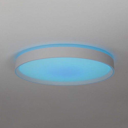 Накладной светильник Citilux BOSS CL751450G в Белово фото 3