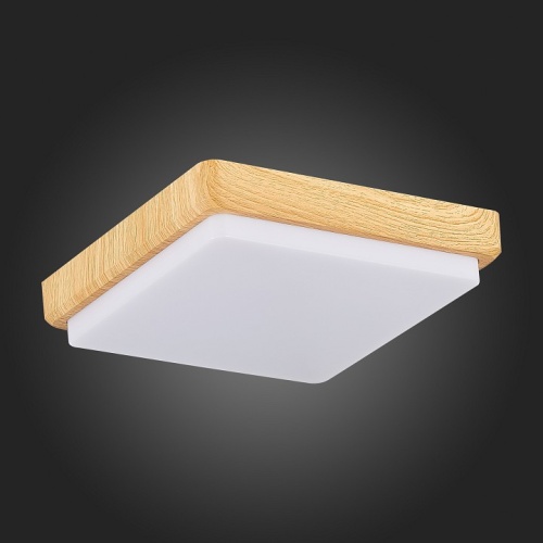 Накладной светильник EVOLUCE Taddio SLE200202-01 в Нижнем Новгороде фото 3