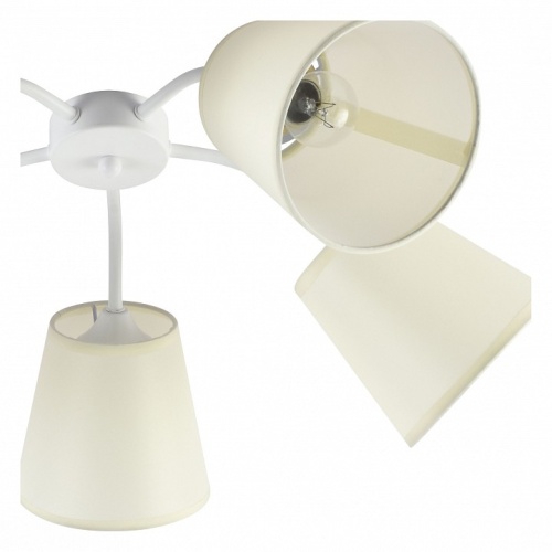 Потолочная люстра Rivoli Aimee Б0059972 в Нижнем Новгороде фото 4